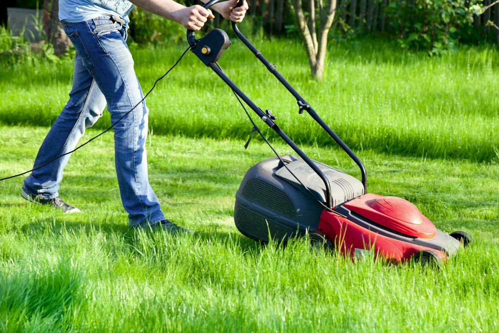 Скашивание травы газонокосилкой